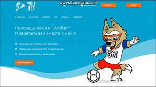SCAM  WolfBet - 25 % за 24 часа