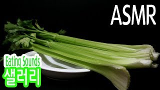 [대듀 ASMR] 샐러리 이팅사운드 리얼사운드 먹방 Celery Eating Sounds Mukbang - Daedue