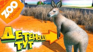 Кенгуру в ЗООПАРКЕ - Прохождение #4 - ZOO Tycoon