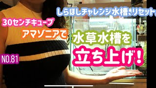 30cmキューブ水槽、水草水槽として立ち上げ！