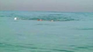 Open Water Practice Total Immersion Israel