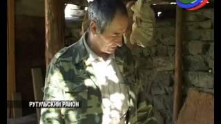 Четверть века житель с.Сюгут Рутульского района Эльдар Раджабов посвятил пчеловодству