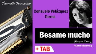 Besame mucho│Губная гармошка