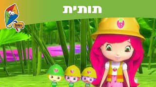 תותית - עונה 6: חדר בפסגה - ערוץ הופ!