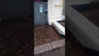 Севастополь после ливневого дождя
