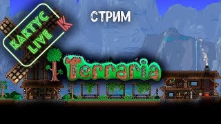 Terraria + Mods В поисках босов (Калаймити и Ториум) на 100 зрителей Terraria в подарок