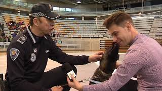 Htv: Jornadas Nacionales de Guías Caninos de perros detectores de estupefacientes