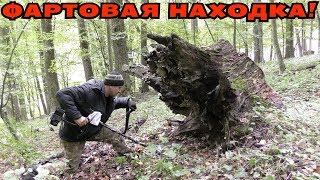 КОПНУЛ ПОД СТАРЫМ ПЕНЬКОМ И НАШЕЛ ТО, ЧТО СОВСЕМ НЕ ОЖИДАЛ!
