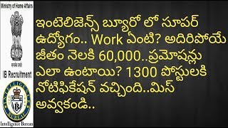IB ACIO 1300 Posts Job Profile(Work,Salary,Pramotions) | Intelligence Bureau ACIO Job Profile