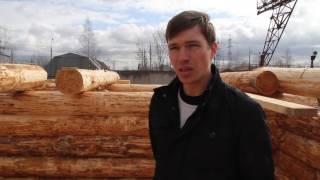 Срубы домов из бревна. Работа с заказчиком и проектирование.