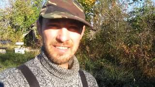 Пчеловодство.Казусы природы. Собрался формировать гнёзда пчёл в зиму. А тут пришла зюзя!