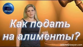 Как подать на алименты