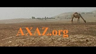 20. Изучение иврита. Учимся читать на иврите. Буква ס. Урок ведет Марк Харах (Ниран)