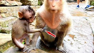 Smart baby... Daniela used hand to stimulate Mom' tit ask Mom for milk