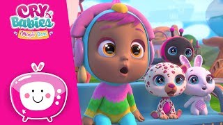 Tehetséges gyerekek ✨ MÁSODIK ÉVAD ? CRY BABIES ? MAGIC TEARS ?