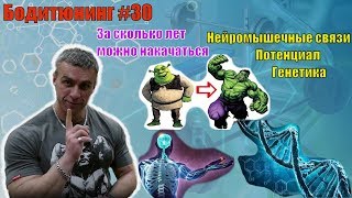 За сколько лет можно накачаться. Нейромышечные связи. Генетика. Потенциал  и ресурс. Бодитюнинг #30