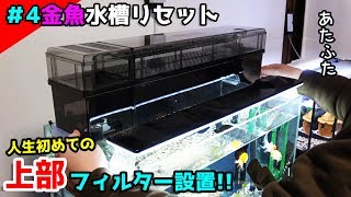 【＃4金魚水槽リセット】組立から手こずる...不良品を乗り越え上部フィルター設置！