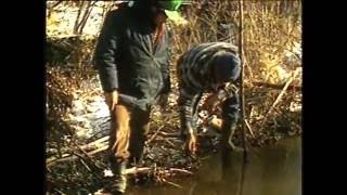 3. Добыча бобра 1 — Открытая вода (Eng)