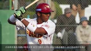 【プロ野球】好きな応援歌で1-9【楽天編】