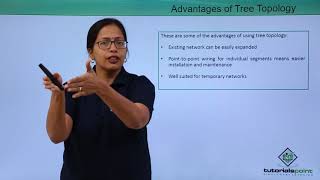 Network Topologies - Tree