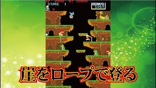 Roc'n Rope ロックンロープ Arcade cheat アーケード チート