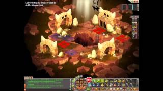 Tutos Donjons Dofus #29 : L'Antre du Dragon Cochon