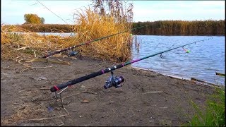 Верша Рыболовная Купить Дешево
