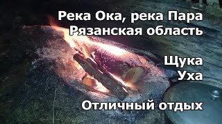 Выезд за щукой, судаком на реки Ока и Пара Departure for pike, perch on the Oka river and Para