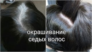 Окрашивание седых волос