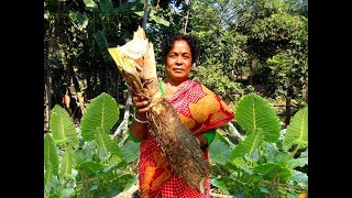 মান কচুর রসা ||Delicious big size Maan kachu Recipe|| Village recipe by my mother ||