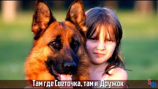 Плакала вся деревня - эта реальная история из жизни не оставит вас равнодушными