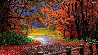 Autumn Whisper（秋のささやき）John Sokoloff Commonwealth