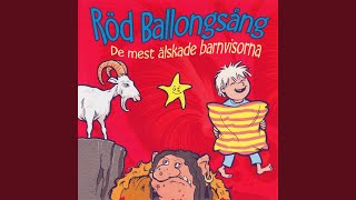 Var bor du lilla råtta