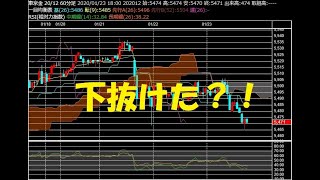 相場がチャートの下抜けを確定した時に辿る運命は？ 【金相場】【白金相場】