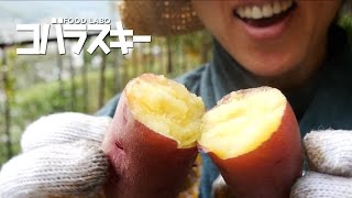 たき火で焼き芋｜コバラスキー by FOOD LABO.