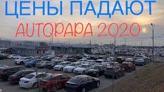 ЦЕНЫ ПРОДОЛЖАЮТ ПАДАТЬ на рынке  AUTOPAPA в Грузии!!!Январь 2020