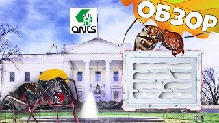 Муравьиная ферма "Белый Дом" 2018 с большим гипсовым гнездом