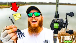 EPIC Topwater Fishing for TROPHY Bass!!!