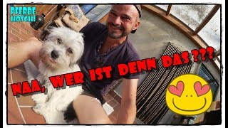 Leben mit den Tieren auf unserem Bauernhof | Pferde Hoschi