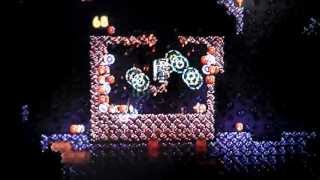 Terraria Souls of Light/Night Auto Farm