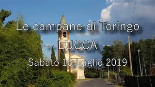 Le campane di Toringo, Lucca (3) - 13 Luglio 2019 - v.125