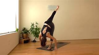 1 Hour Yoga for Strength & Focus with Lauren Vogel