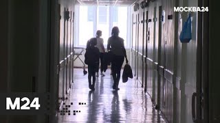 "Специальный репортаж": "окно в жестокий мир" - Москва 24