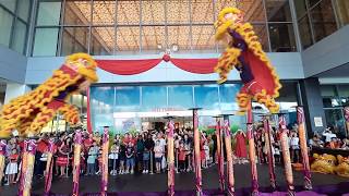 2020 CNY Acrobatic Lion Dance Performance @ Sunway Velocity Mall #吉隆坡光藝龍獅體育會