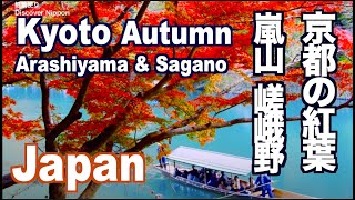 KYOTO JAPAN 京都観光・嵐山の紅葉の名所　Autumn Leaves in Kyoto - Arashiyama, Sagano、天龍寺、常寂光寺、宝厳院、fall foliage