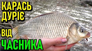 Ловля карася весною. Ловля карася весной.
