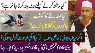 Aham Sawal jawab|Islamic Question Answer Makki Alhijazi 09-02-2020|سوال جواب Q&A|شیخ مکی الحجازی درس