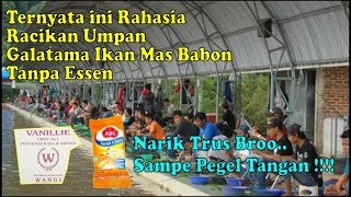 VIRAL  !! RACIKAN UMPAN GALATAMA IKAN MAS BABON TANPA ESSEN