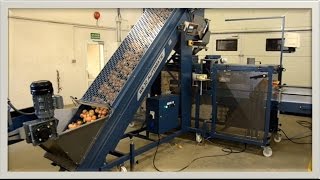 Упаковка лука  Небольшая линия Отдел продаж: 0966333310