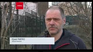 Живодеров никто не наказывает.